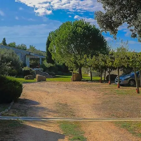Cartarana
